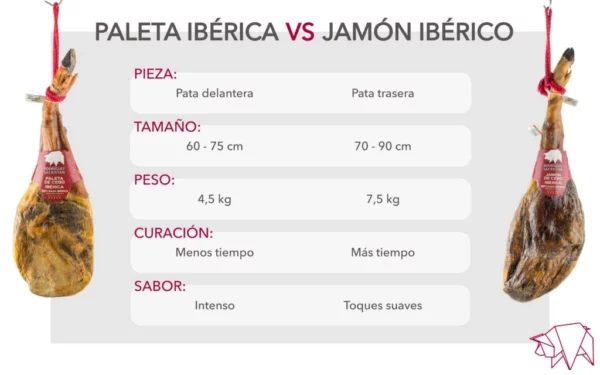 Diferencias entre el jamón ibérico de bellota y la paleta ibérica