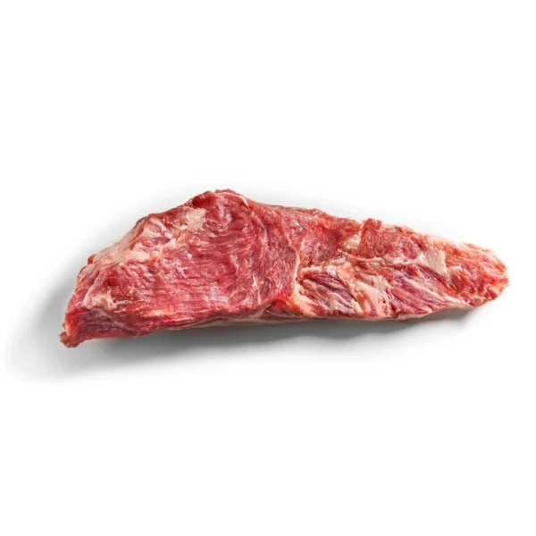 Pluma Ibérica - Prim
