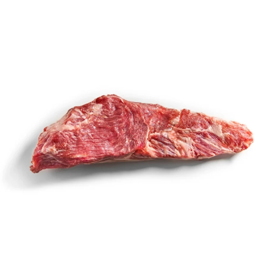 Pluma Ibérica - Prim