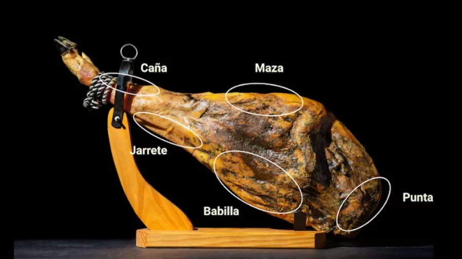 Partes de una pata de jamón ibérico de Jabugo