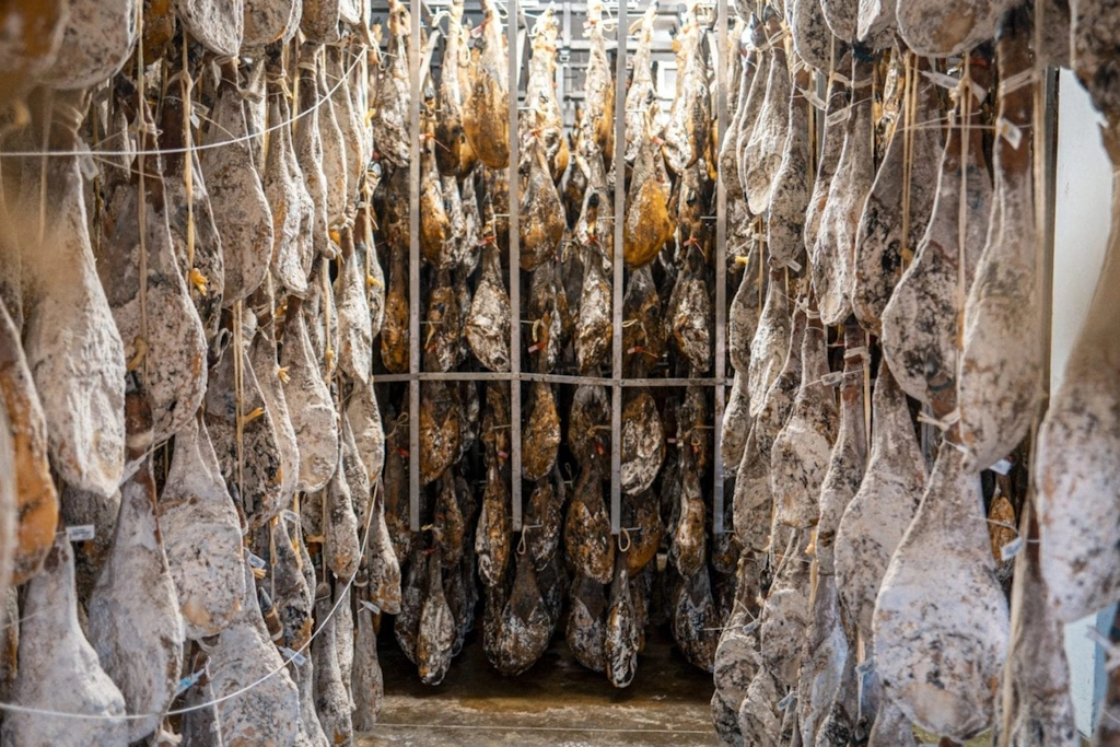 La curación del jamón Ibérico de bellota
